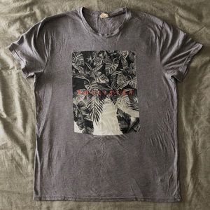 Grey Hollister Graphic T-shirt